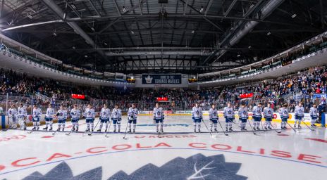 Marlies hockey players standing in a row at the Coca-Cola Coliseum