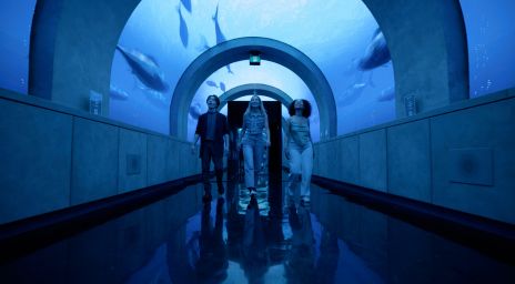 Group of friends walking through an underwater display at Arcadia Earth