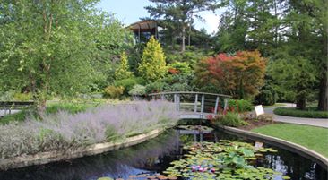 Beautiful gardens, stream and pathway at the Royal Botanical Gardens